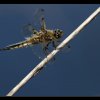 20120524_1222